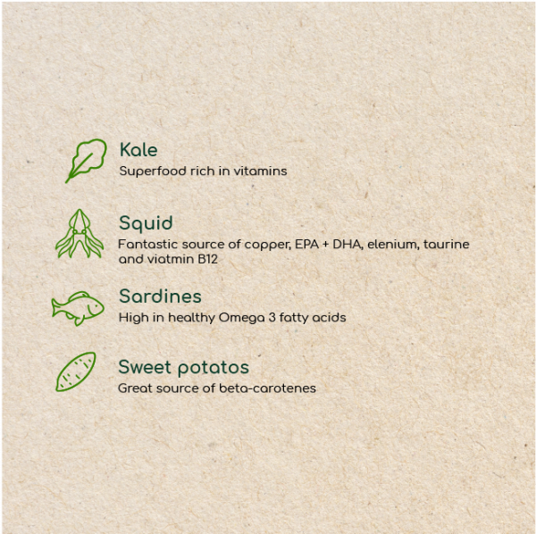 Boneless Chicken and Beef Adult Cat Food - Image 2